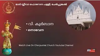 Holy Qurbana and Novena of Infant Jesus,2 /01/2026  3:30pm