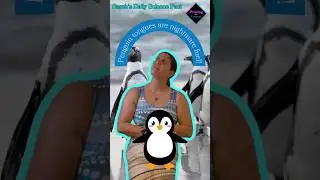 Penguin tongues are nightmare fuel!