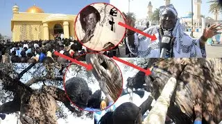 🔴Allahou akoubar Garap Gui La Serigne Fallou Mbacké Dan Tok di Fathi Adio yi Oh Mère bi Ndaysan ...