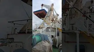 ship 🚢 #music #song #love #life #funny #travel #trending #shorts