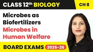 Microbes as Biofertilizers - Microbes in Human Welfare | Class 12 Biology Chapter 8 | CBSE 2025-26
