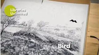 Unlocking the Cage at Exeter Library - Bird