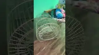 Wire heavy Iron Rat trap||Veer singh vlog
