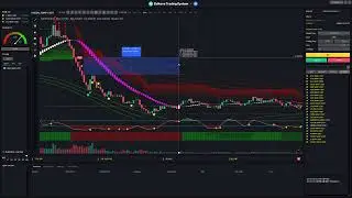 ZTS 자동매매