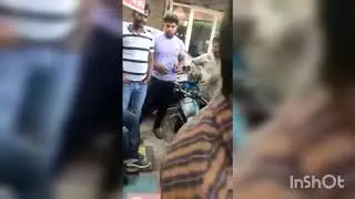 Delhi guy fighting with trafic police and abusing watch full video