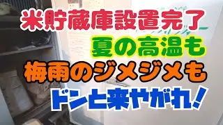 これで夏場のカビにも虫にもビクビクせんぞ！…。の巻