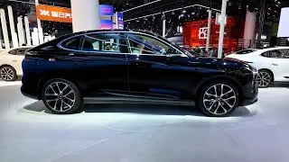 2025 IM LS6 Appearance (Multi Color) Interior Space Dynamic Video
