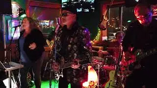 Pharaoh Cats - Crazy
