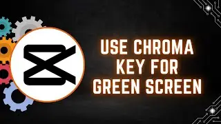 How to Use Chroma Key for Green Screen Videos in CapCut PC