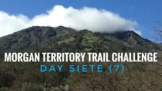 Morgan Territory Trail Challenge (Day 7) | Bay Area Hikes with Views