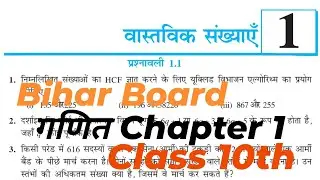 Prashnawali 1.1 | Class 10th Full Solution | Ncert Class 10th | Exercise 1.1 Complete | Bihar Board 