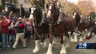 Budweiser Clydesdales, Dalmatians front and center at 40th Fall for Greenville