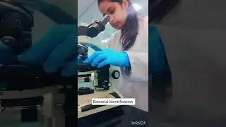 ##trending #viral #microbiology #microbes #bacteria #trendingreels #viralvideo #video #viralshorts