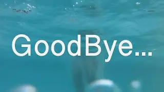 GoodBye...VLOG#4