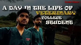 A DAY IN LIFE OF A VETRINARY COLLEGE STUDENT | LUVAS,HISAR | 96aale