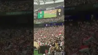FESTA DA TORCIDA DO FLU DIANTE DO #borussiadortmund football #fluminense #mundialdeclubes #eua