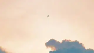 Linkin Park - Friendly Fire (𝐒𝐥𝐨𝐰𝐞𝐝+𝐑𝐞𝐯𝐞𝐫𝐛)
