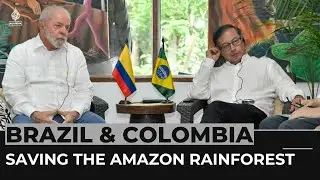 Colombia, Brazil leaders vow to protect Amazon rainforest