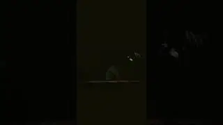 hit2/theatre response/natural star nani entry