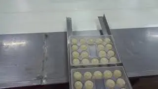 Bao zi forming machine #bao making machine #Soup bao #包子机#汤包机