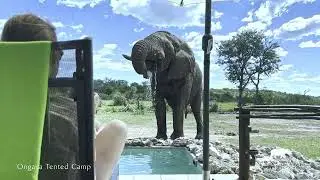 Ongava Tented Camp