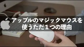 これだけの為にマジックマウス使ってます。