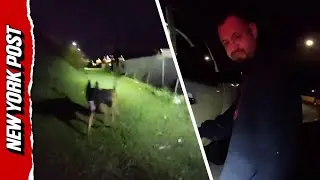 K-9 Dies After Being Shot By Illegal Immigrant During Standoff; Suspect Killed By Officers
