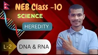 L-2: DNA & RNA || SEE Class-10 Science || NEB  Nepal || Full Concept | By Sumit Chaudhary