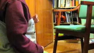 Jerbos 8: Adiestramiento de salto