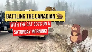 Epic Showdown: Beavers vs. CAT 307C Excavator – Clearing a Flooded Road in Northern Ontario!