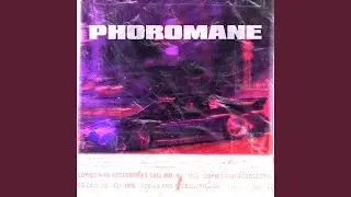 HIGHQUALITY