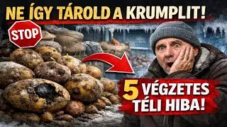 NE ÍGY TÁROLD A KRUMPLIT! 5 decemberi hiba, amitől februárra megrothad
