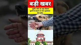 आवारा कुत्तों के कटने पर देना होगा मुआवजा?? || #supremecourt #dog #shorts #news