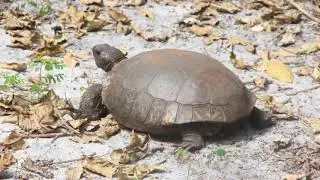 Broward County Parks Weekend Fun