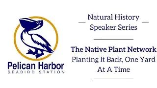 Speaker Series - The Native Plant Society