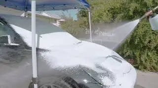 A day in a life of a car detailer! Paint correction, Maintenance wash and more!
