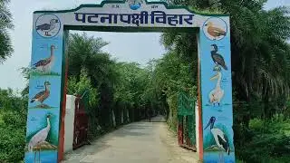 patna bird sanctuary vlog #video #drone #trending #travel #like #reel #birds #lake