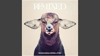 Dub Me Crazy Ver. 02 (Optical Remix)