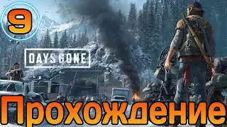 Прохождение➤Days Gone➤Часть 9➤ПК