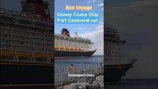 Disney HUGE Cruise Ship Port Canaveral FL Outbound Kids Watching Mickey Mouse