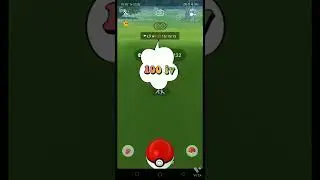 get perfect 100 iv in Pikipek in Pokemon go#shorts #Trainerjoy# pogo