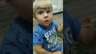 Adventure in the forest. Demid is looking for the animals. Приключение в лесу. Демид ищет животных.