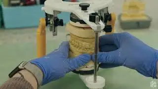 Aesthetic Oral Arts Dental Lab