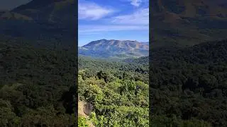 View from kurinjal peak - Kudremukh national park. #kudremukh #kurinjalpeak