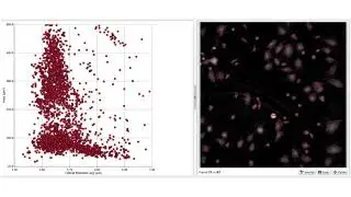 Drug Dose-Response & Live-Cell Tracking | Live Cell Imaging made Easy