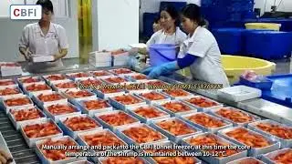 CBFI Tunnel Freezer Project in Vietnam Shirmp Seafood Factory