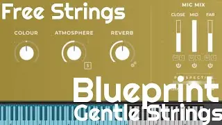 Free Strings - Blueprint Gentle Strings by Fracture Sounds (No Talking)