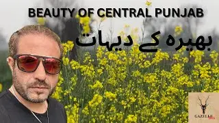 Central Punjab ki Beauty | Bhera ki village side #bhera #villagelife #centralpunjab
