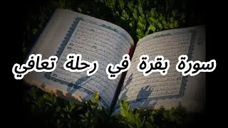 سورة بقرة في رحلة تعافي (  مذمن متعافي  )