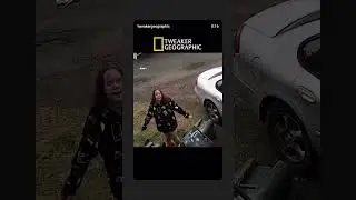 Странно выглядящая мусорная панда #helpmememakesense #fypシ #funny